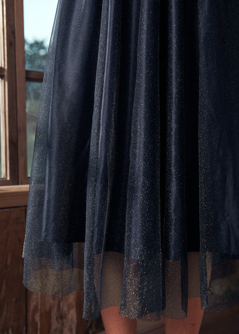Time Capsule Tulle Midi Skirt